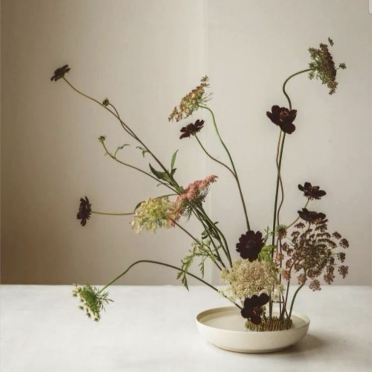 Discover the Art of Ikebana