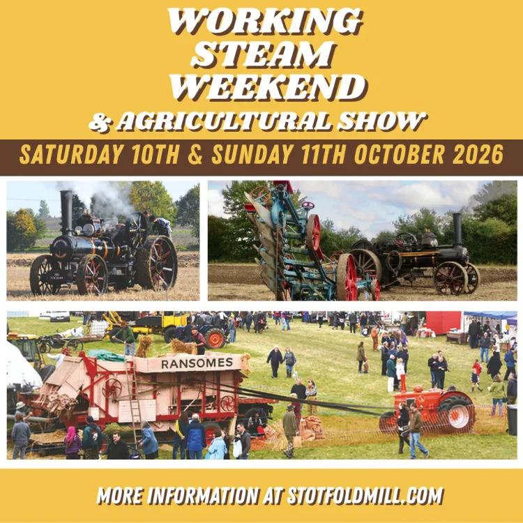 Steam weekend