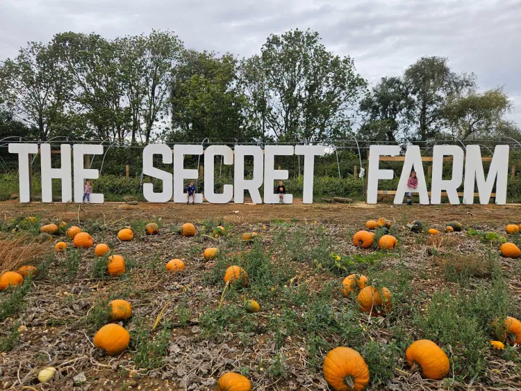 secret farm