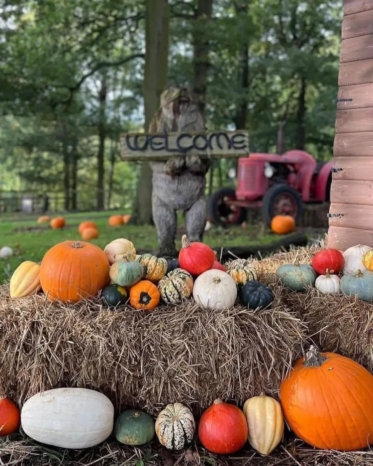 woodland ranch halloween