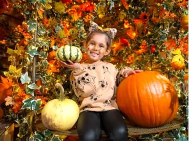 willows pumpkin