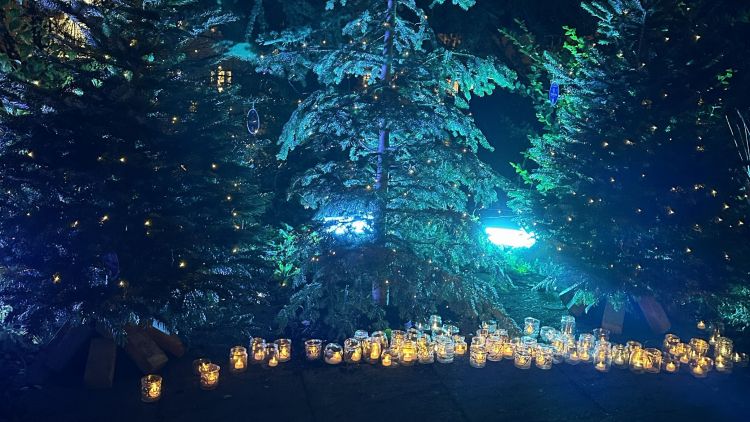 Lights of Life 2026
