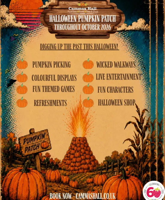cammas halloween