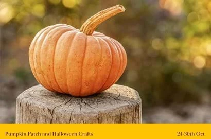 bsm pumpkin carving