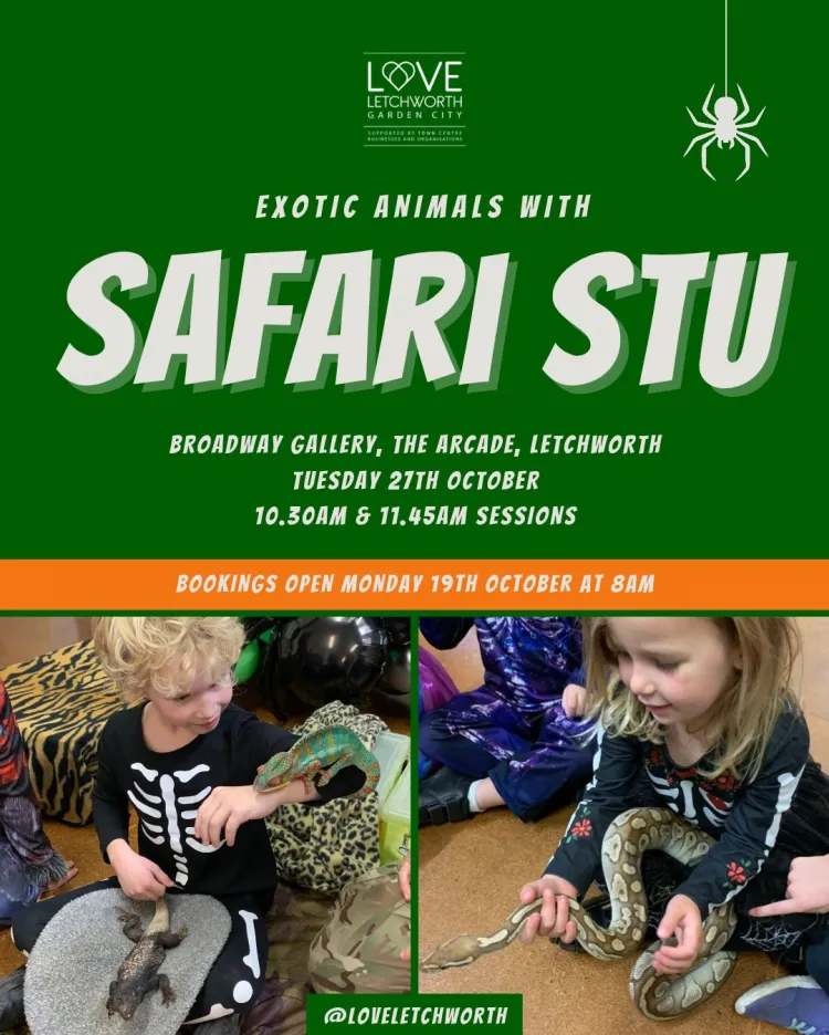 Safari stu