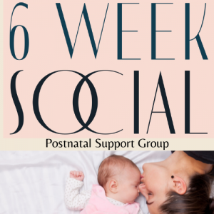 6WeekSocial logo