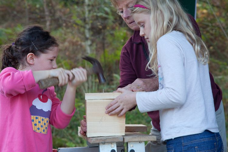 Build a bird box in the Great Fen