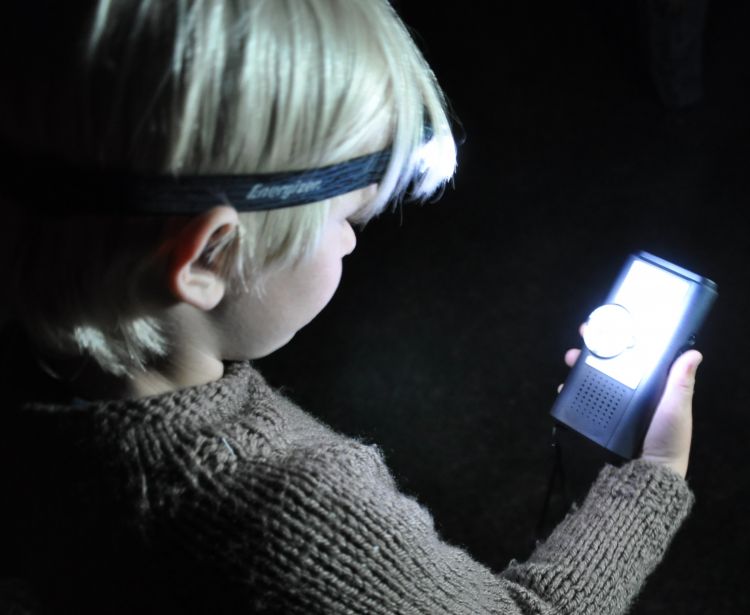 Great Fen Creatures of the Night