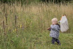 Great Fen Little Bugs