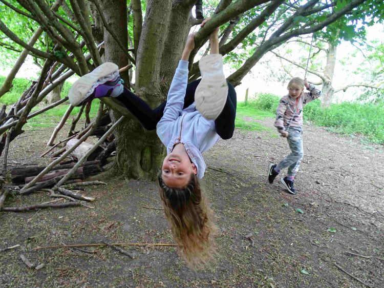 Wild In The Woods - Great Fen Day Camp