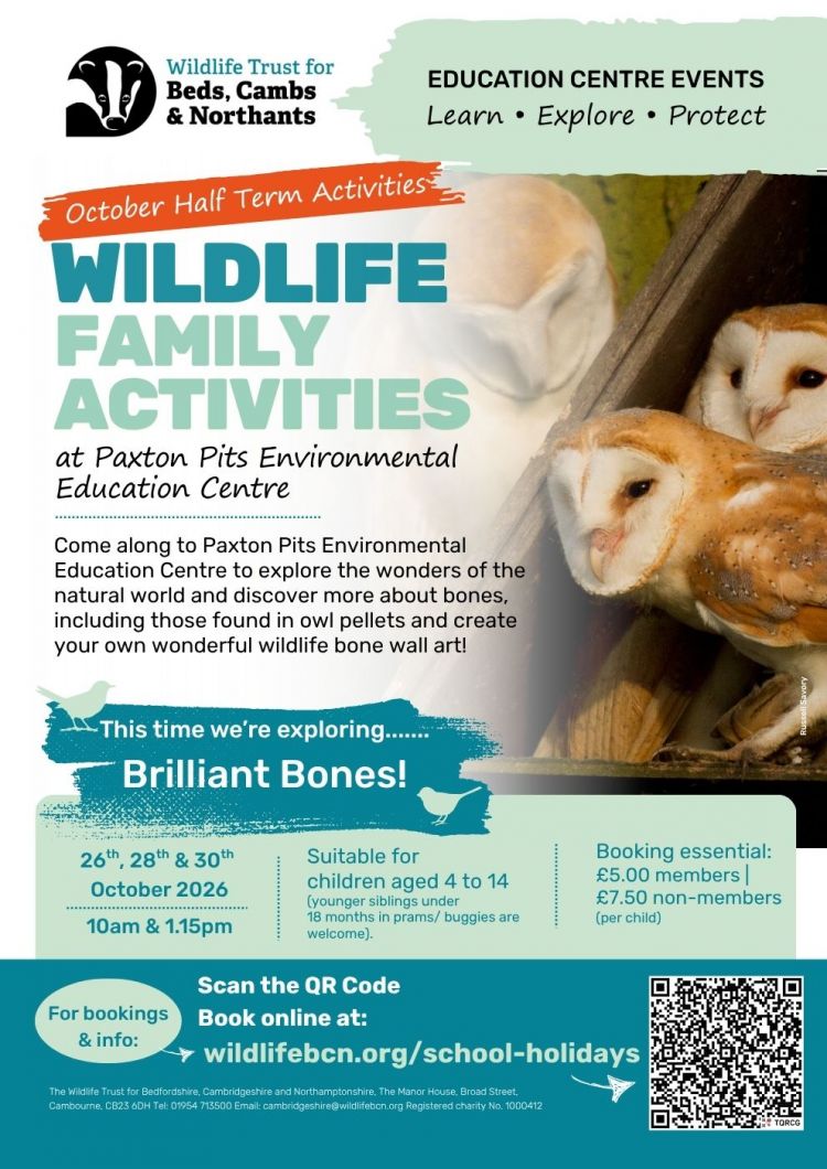 Discover and Explore - Brilliant Bones Family Fun!
