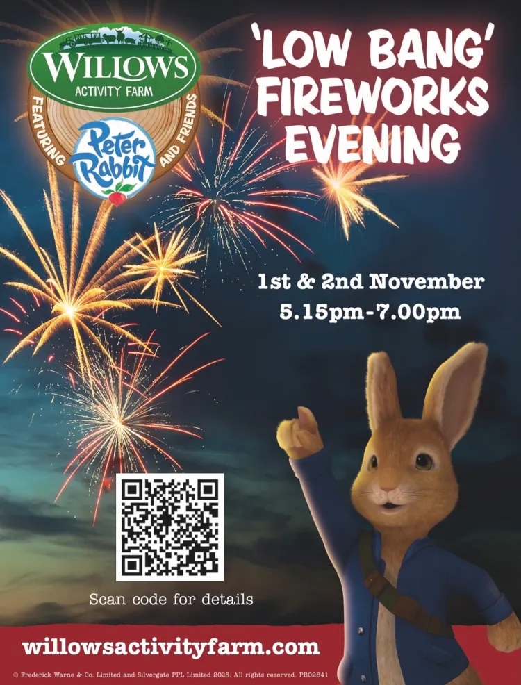 willows fireworks 01-021125