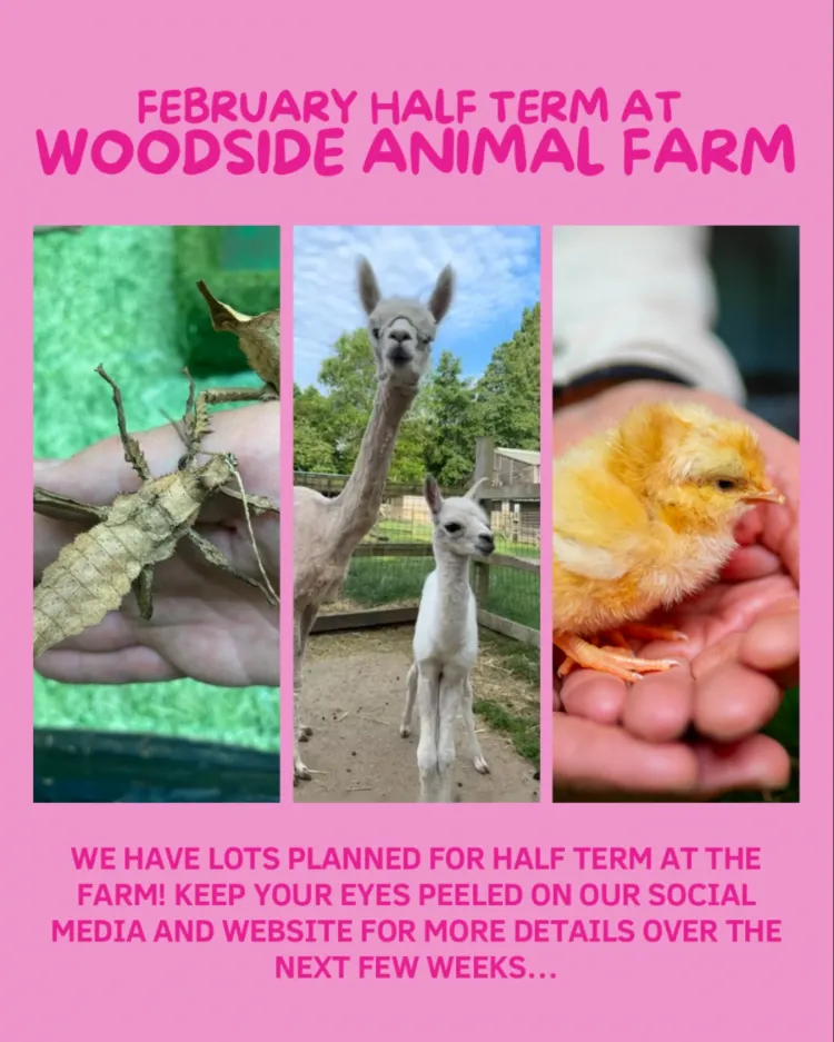 Princess & Pirates Week @ Woodside Animal Farm