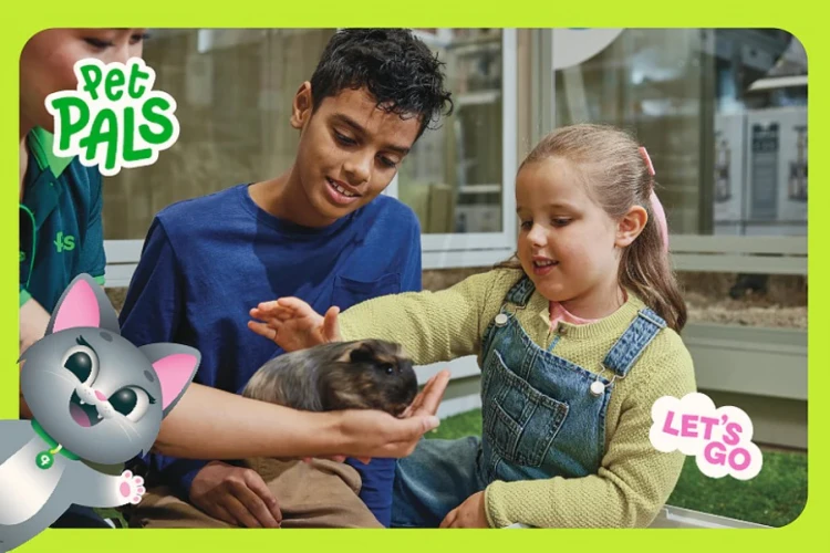 pet pals feb half term 26
