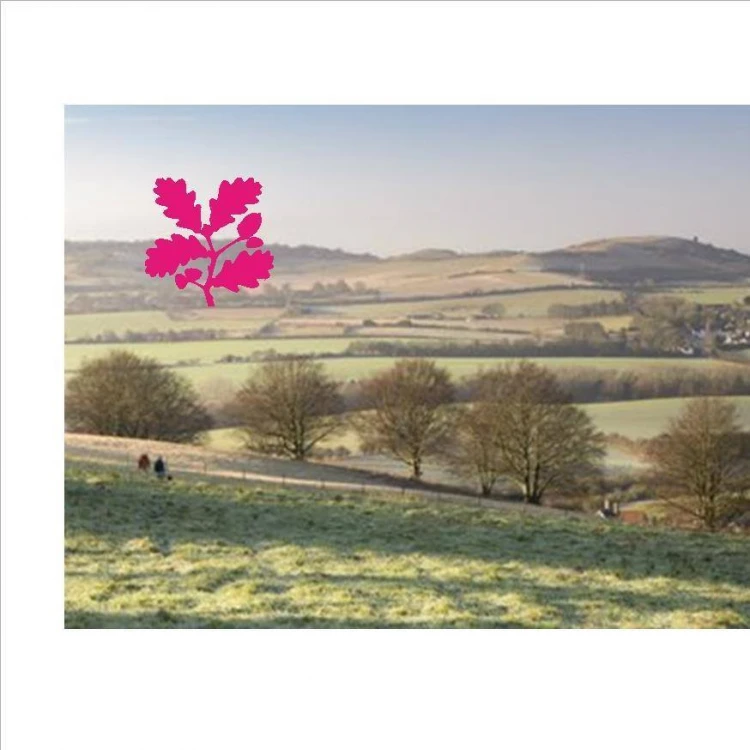May Half Term Wildlife Trail at Dunstable Downs