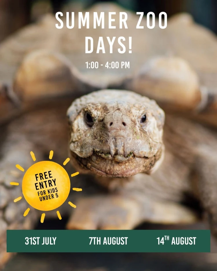 summer zoo at oaklands 2026