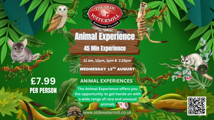 animal experience old water mill 130825