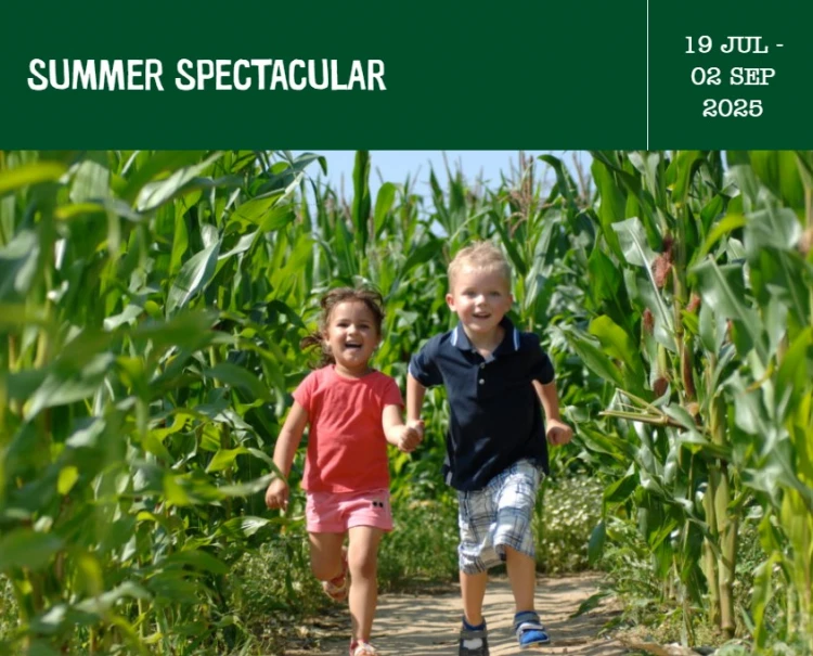 willows farm summer spectacular 2025