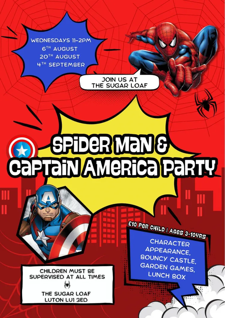 spider man party 040925