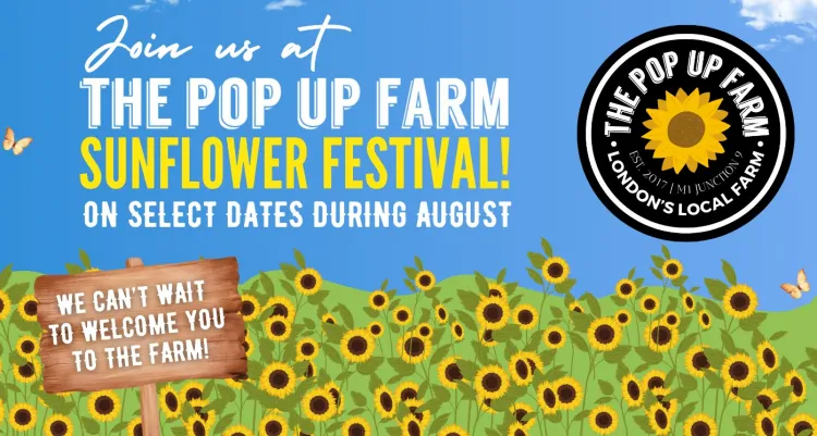 pop up farm sunflower festival 2025