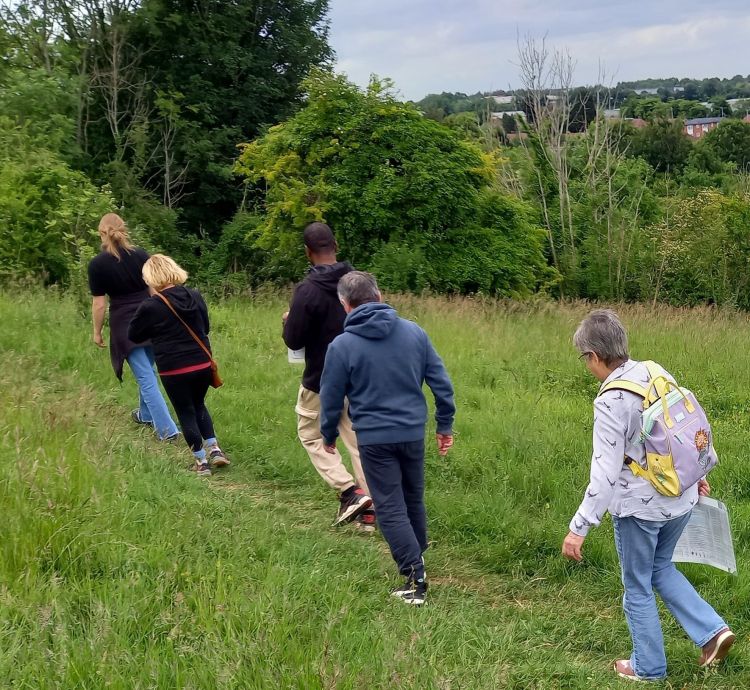 A Walk in the Park - Countryside of North Luton