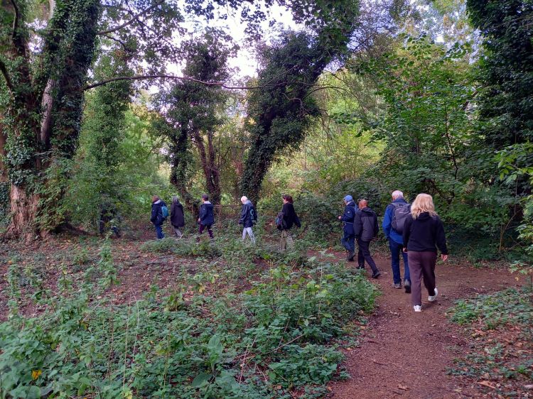 A Walk in the Park - People's Park