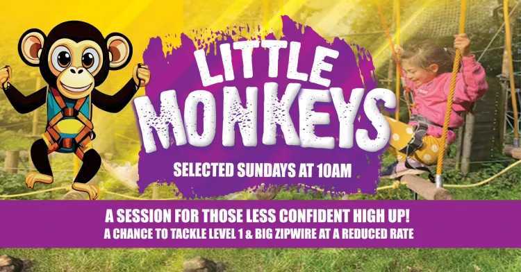 Little Monkeys at Nuclear