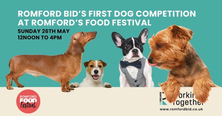 Romford BID Dog Competition