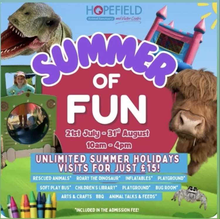 Summer of fun at Hopefield 