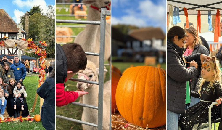 Prittlewell Pumpkin Patch