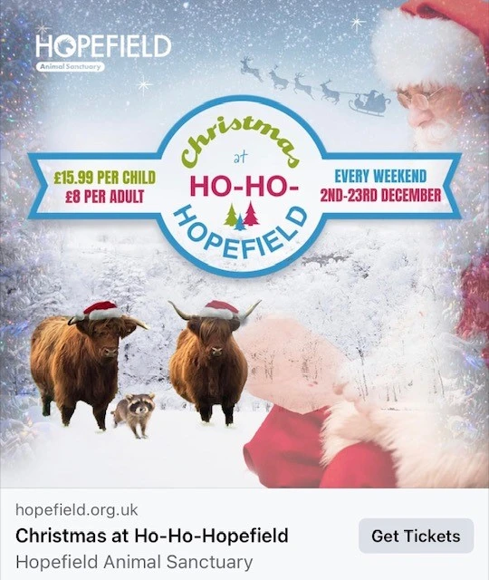 hopefield