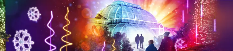 Christmas at Kew