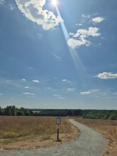 Heartwood Forest Title