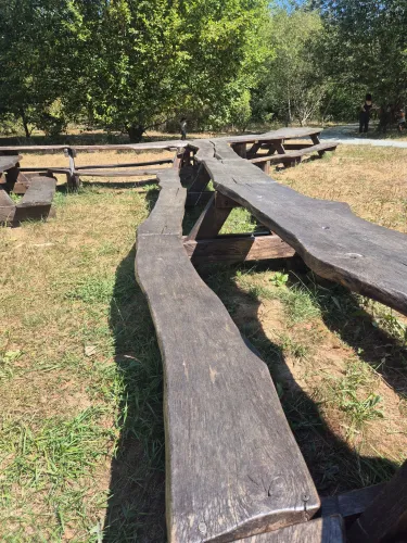 Heartwood Forest - Picnic Area