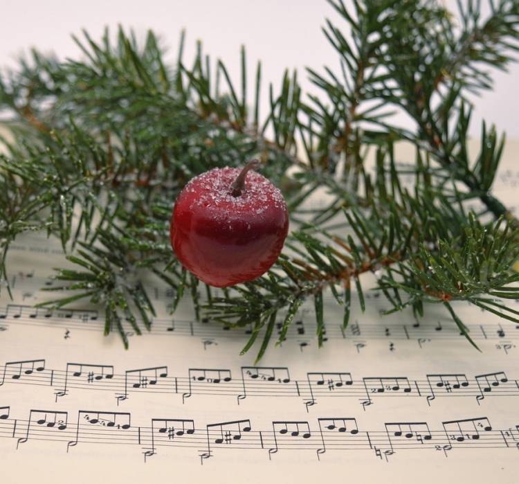 Christmas for Everyone - Christchurch Carols