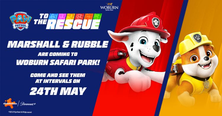 See Marshall and Rubble from PAW Patrol on 24th May 2025