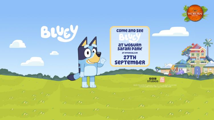 Come along and meet Bluey
