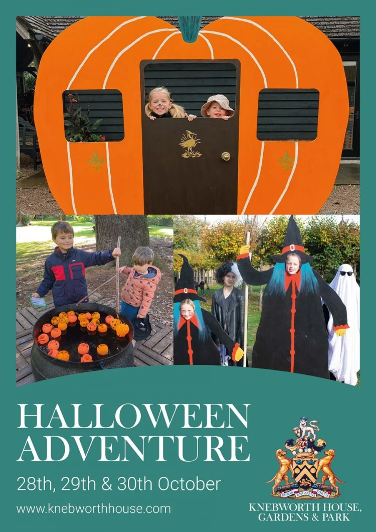 Halloween Adventure