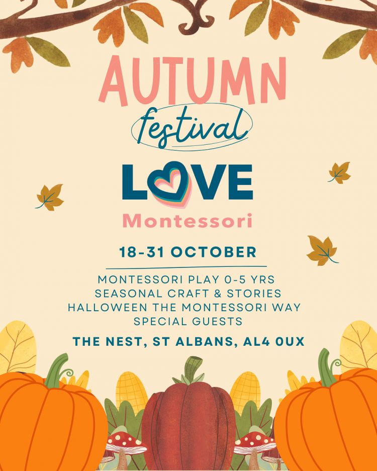 🎃 Halloween Special: Little Pumpkins (0-18m) 