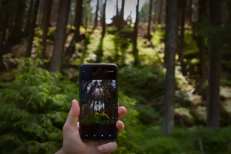 Smartphone Safari: How to take amazing nature photography with your phone