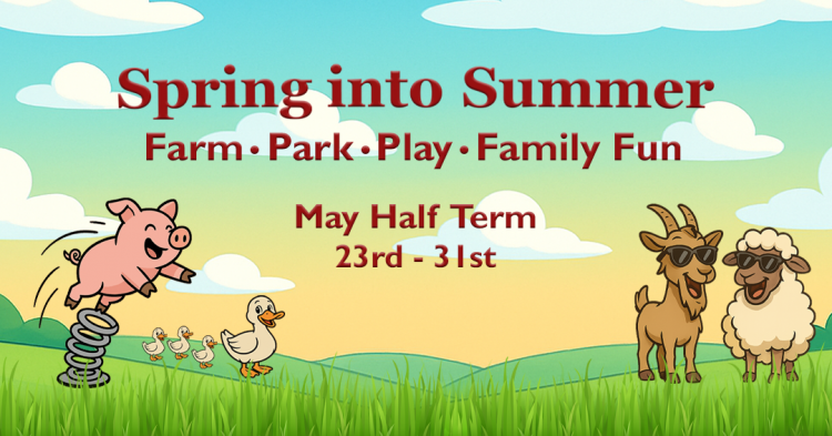 Spring into Summer