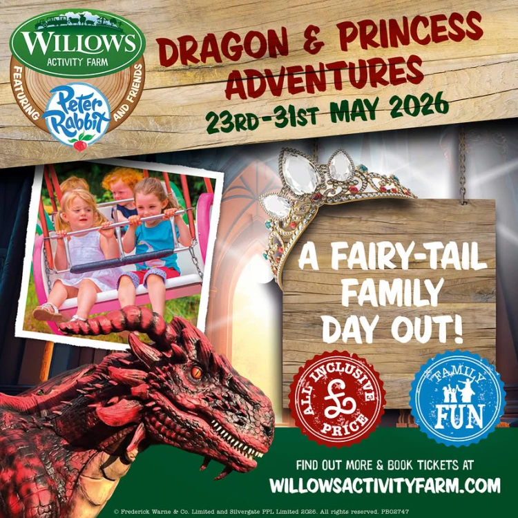 Dragon & Princess Adventure