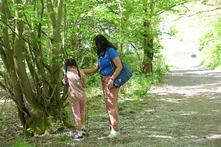 The Faery Trail