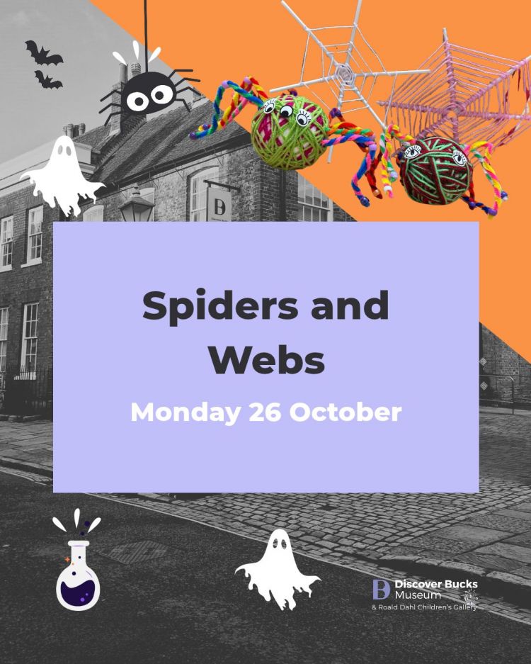 Spiders and Webs