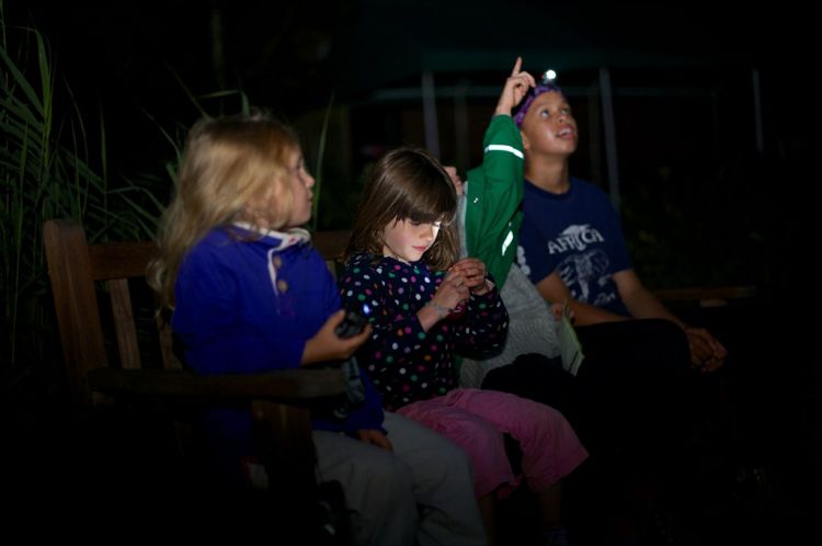 Big Wild Pyjama Party at RSPB Rye Meads