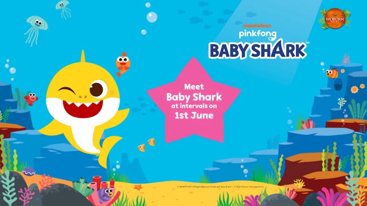 Woburn Safari Park is welcoming Baby Shark!