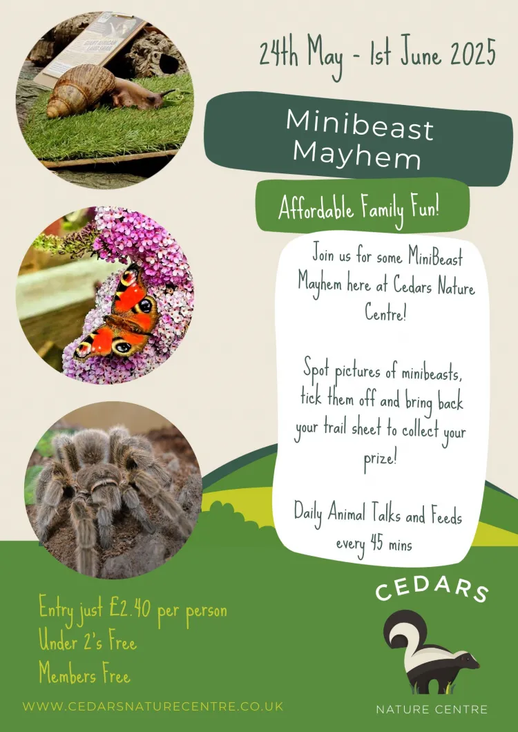 Minibeast MAY-hem at Cedars Nature Centre