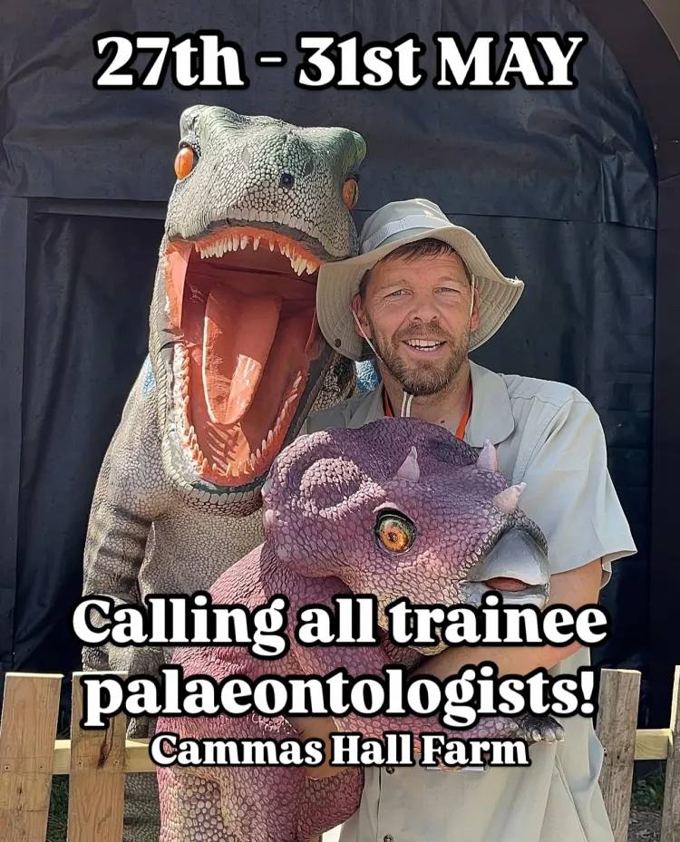 Jurassic Trail