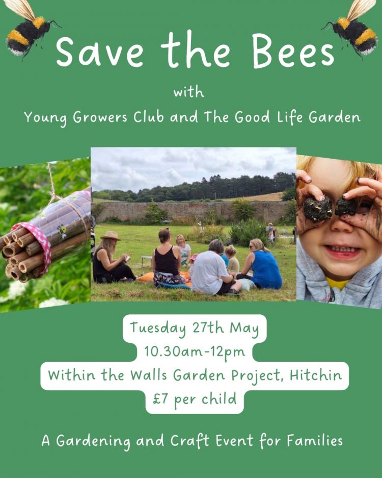 Save the bees
