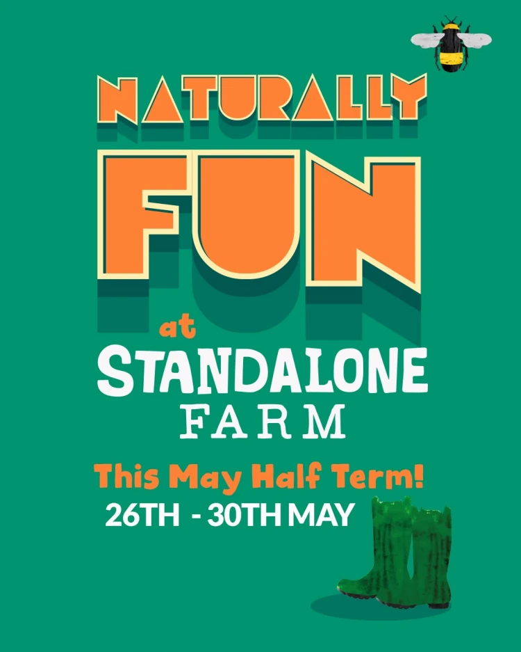 Naturally Fun 